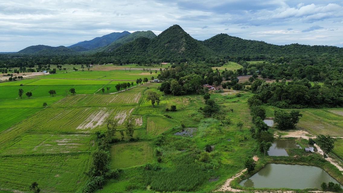 🏞️ ที่ดินบนเขื่อนวังร่มเกล้า 1 ไร่ 320,000 บาท วิวภูเขา เหลือเพียง 6 แปลงสุดท้าย 11