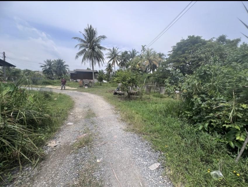 บ้านเดี่ยวพร้อมที่ดิน 4