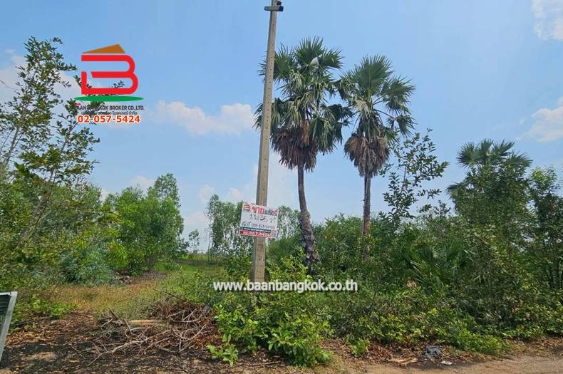 ที่ดินเปล่า หมู่บ้าน อริสรา ลาดบัวหลวง เนื้อที่ 1-0-35 ไร่ ถนนบางบัวทอง-สุพรรณบุรี อ.ลาดบัวหลวง จ.อยุธยา 1