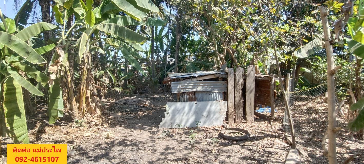 ที่ดิน มีสิ่งปลูกสร้าง 245 ตรว. หนองคาย 7