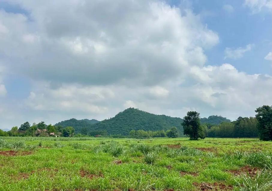 ขายที่ดินเขาวง หนองน้ำแดง เขาใหญ่ ปากช่อง 1.5ไร่ วิวเขาสวยมาก ถนนลาดยางสาธารณะ เดินทางสะดวก ใกล้ธนะรัชต์ มอเตอร์เวย์M6 ที่สูง ไม่เปลี่ยว บ้านตากอากาศ 3