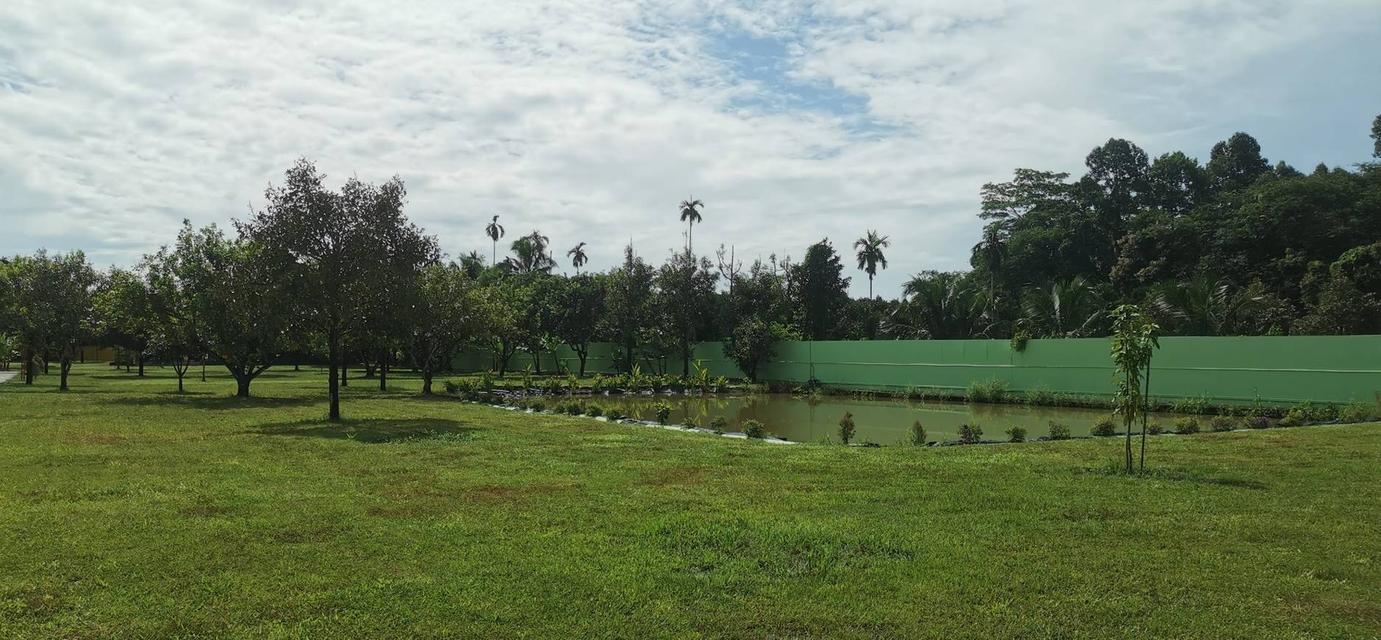 ขายบ้านเดี่ยวสไตร์ยุโรป 2 ห้องนอน ในทำเล คลองปูน แกลง, ระยอง 5