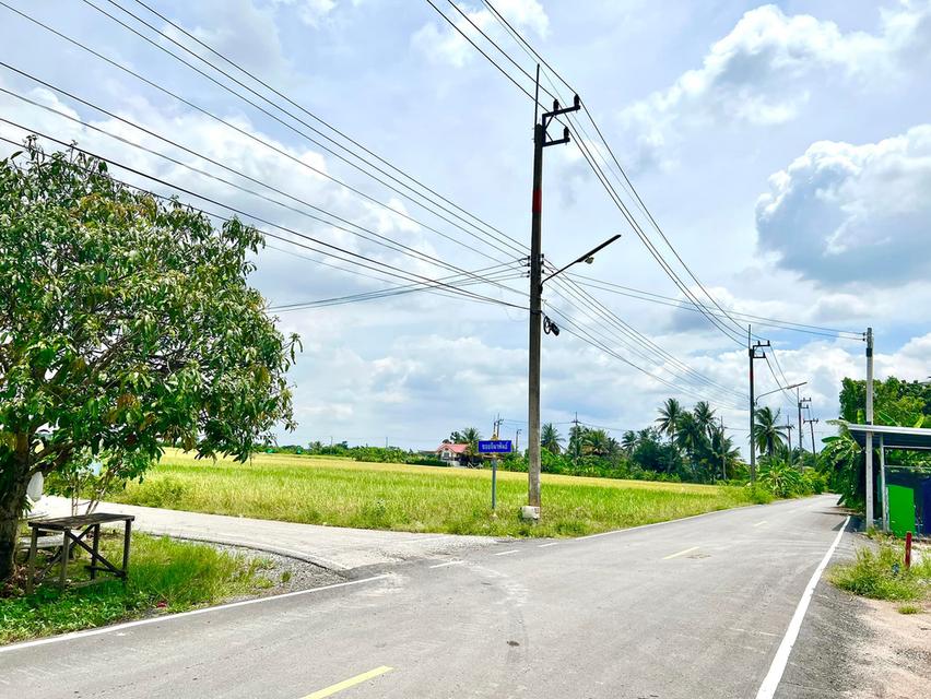 ขายที่ดินแปลงสวยหนามแดง 4 ไร่ ติดถนน2ด้านซอยคลองนครเนื่องเขต13 ใกล้ถนนสุวินทวงศ์304-3.9กม. เมืองฉะเชิงเทรา ที่ตั้ง หนามแดง เมืองฉะเชิงเทรา ฉะเชิงเทรา