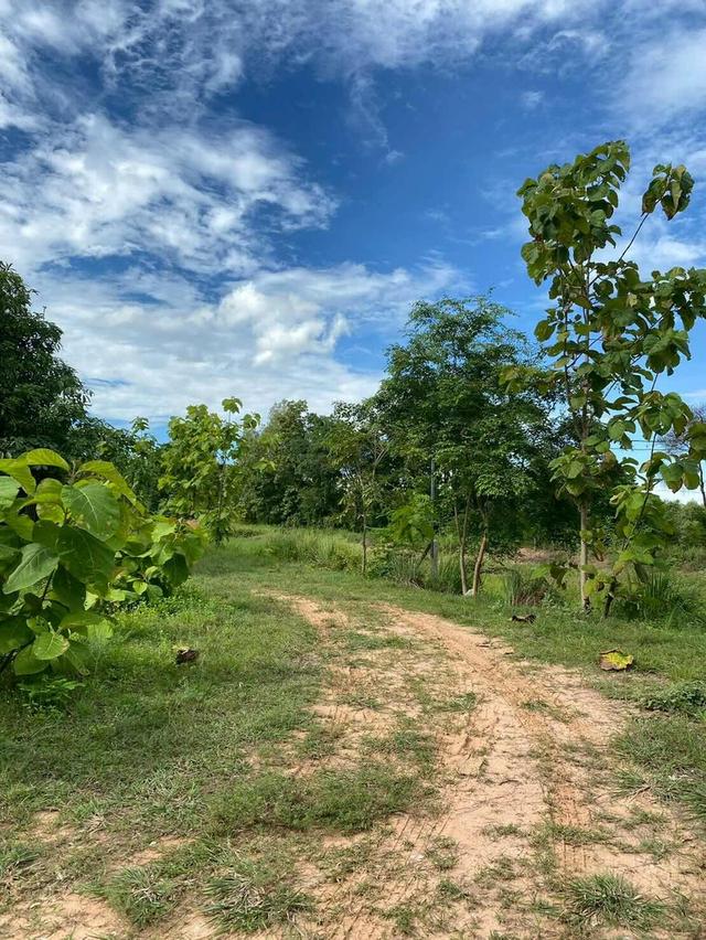 ขายที่ดิน เมืองพล จังหวัดขอนแก่น 7