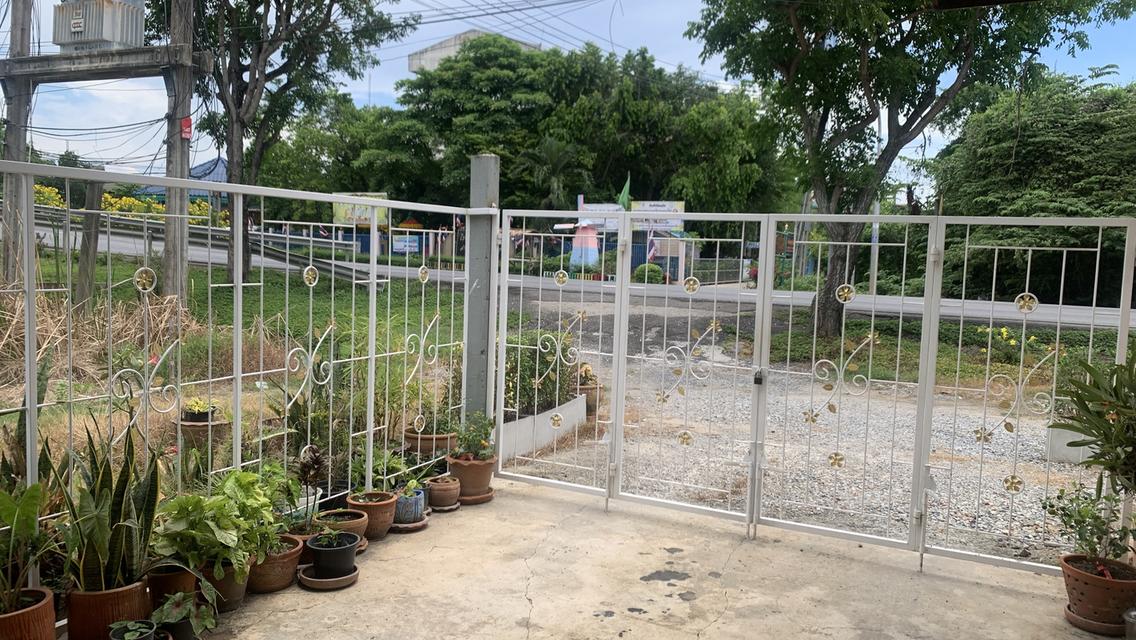 ขายบ้านพร้อมที่ดิน 200 ตารางวา ทำเลศักยภาพ หนองจอก ติดถนนใหญ่ เหมาะอยู่อาศัยและต่อยอดธุรกิจ 17