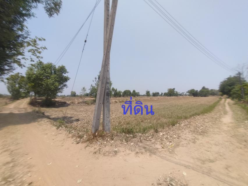 ขายที่ดิน จังหวัดร้อยเอ็ด 1