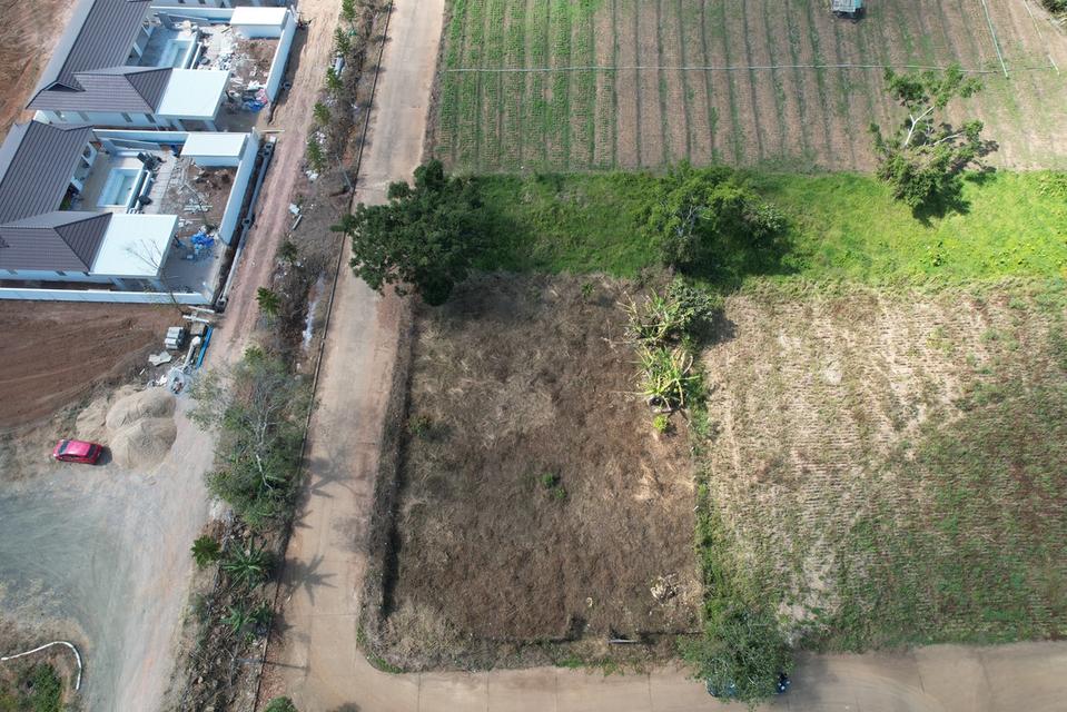 ขายที่ดิน ตำบลทุ่งสมอ อำเภอเขาค้อ จังหวัดเพชรบูรณ์ 2