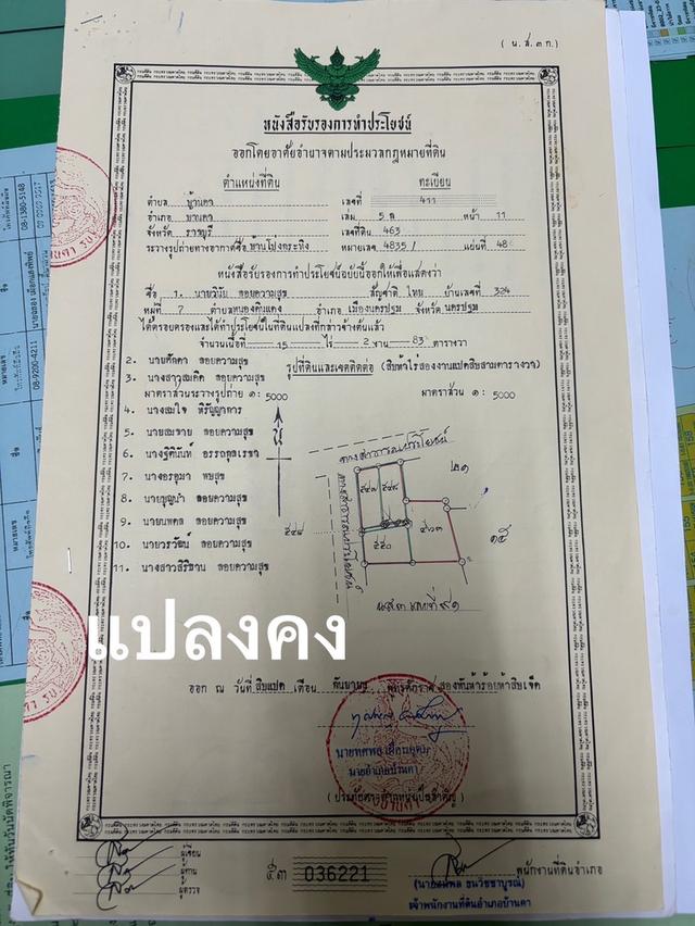 ที่ดินเปล่าอำเภอบ้านคา ราชบุรี 9 ไร่ เหมาะทำรีสอร์ท กางเต็นท์ ปลูกบ้าน ทำเกษตร 1