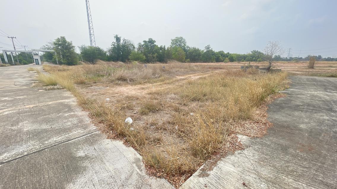 ขายที่ดินในหมู่บ้านแม่ธรณีทอง อินโดจีน จังหวัดพิษณุโลก 1