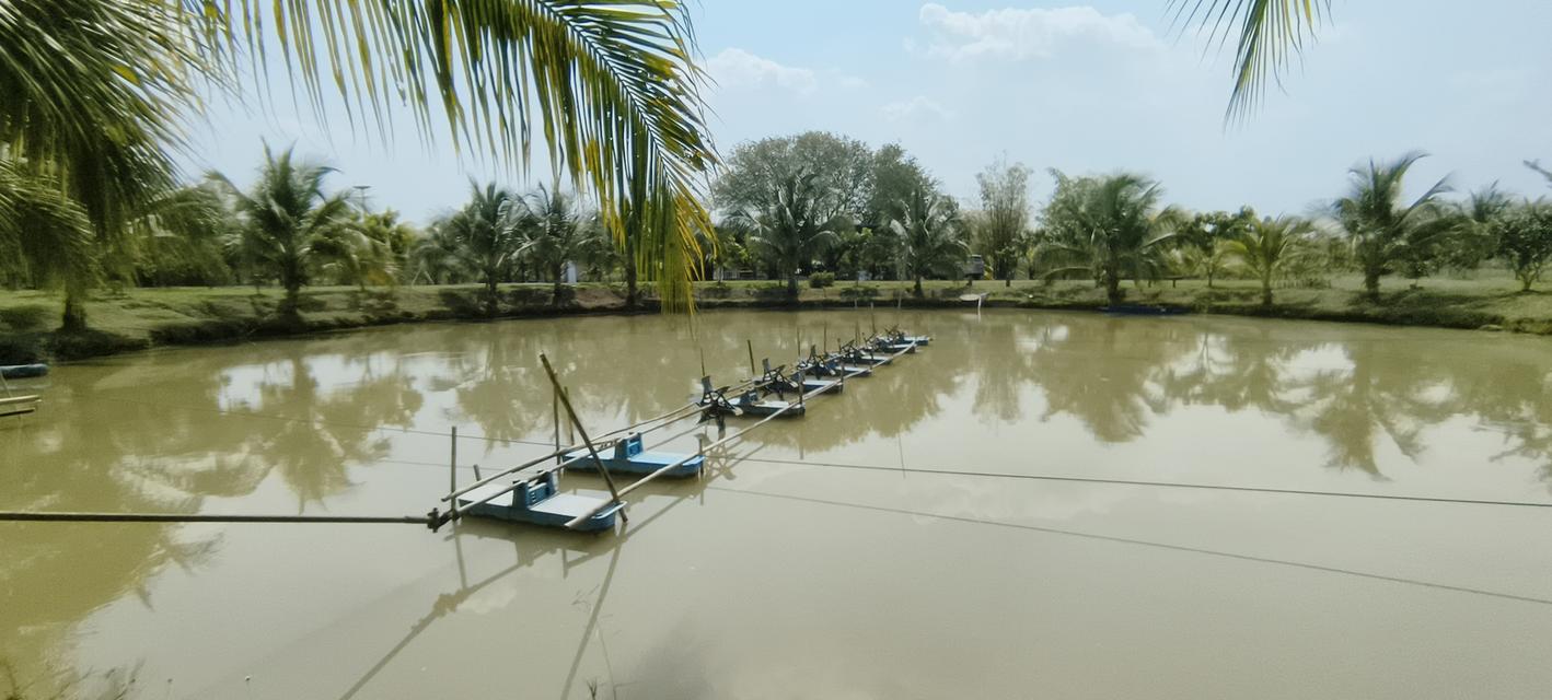 บ้านสวนพร้อมที่ดินสวย 20