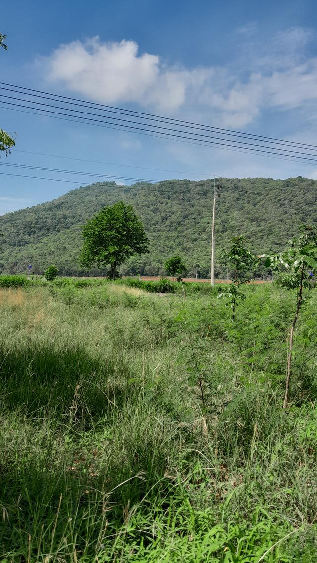 ขายที่ดิน 3 ไร่ 12