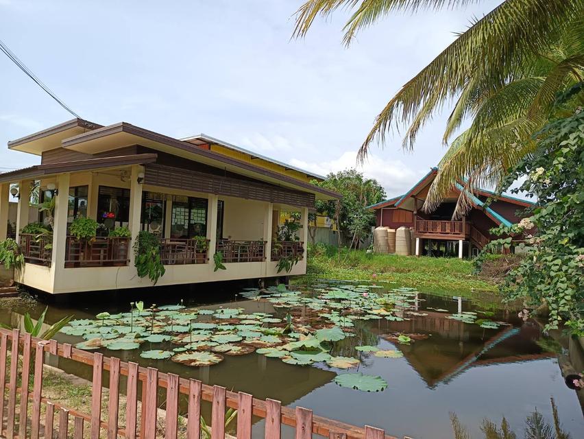 ขายที่ดินพร้อมสิ่งปลูกสร้าง 2