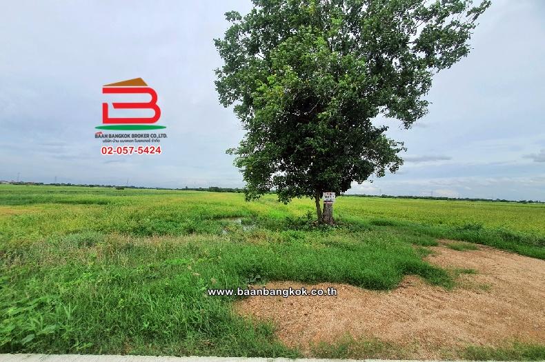 ที่ดินเปล่า อุทัย-อยุธยา เนื้อที่ 18-0-8.2 ไร่ (ใกล้ศูนย์ปฏิบัติธรรมบ้านแสงแห่งธรรม) ตำบลหนองน้ำส้ม อำเภออุทัย พระนครศรีอยุธยา 4