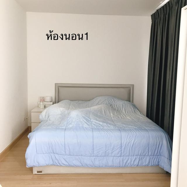 ทาวเฮาส์ เดอะConnect 4