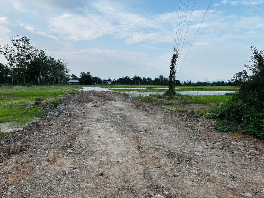 ขายที่ดินแปลงใหญ่สุดพรีเมียม! ทำเลทอง ดอยสะเก็ด เชียงใหม่ 5