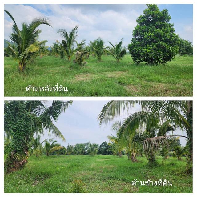 ขายที่ดิน จอมบึง หมู่บ้านซอนต้า จ.ราชบุรี ใกล้อ่างเก็บน้ำซอนต้า บรรยากาศดี 2