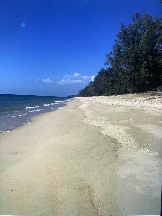 ขายที่ดินบนเกาะลันตาใหญ่ หลังสำนักงานที่ดิน ต.ศาลาด่าน ใกล้หาดพระแอะ 6