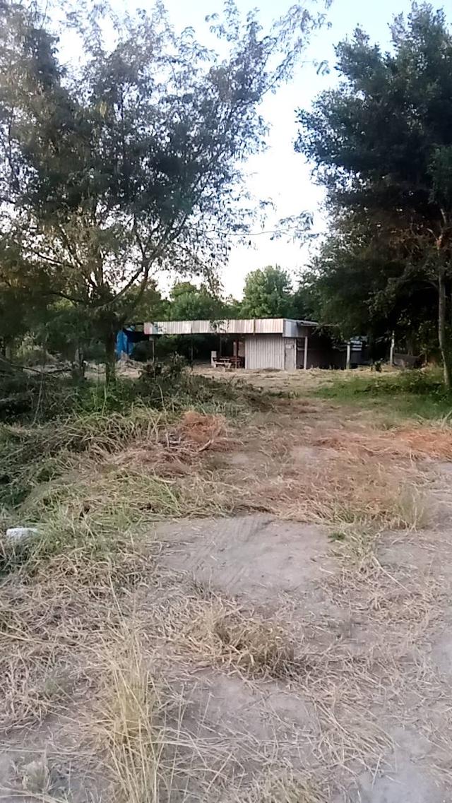 ขายที่ดิน 5 ไร่ ทำเลทองหนองตำลึง ใกล้นิคมอมตะนคร 3