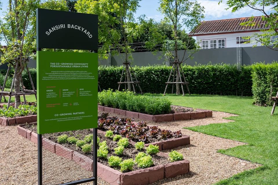 บ้านทาวน์โฮม 2 ชั้น ตกแต่งบิ้วอินสไตล์มูจิ ฟรีค่าส่วนกลางปี 2569✅ 18