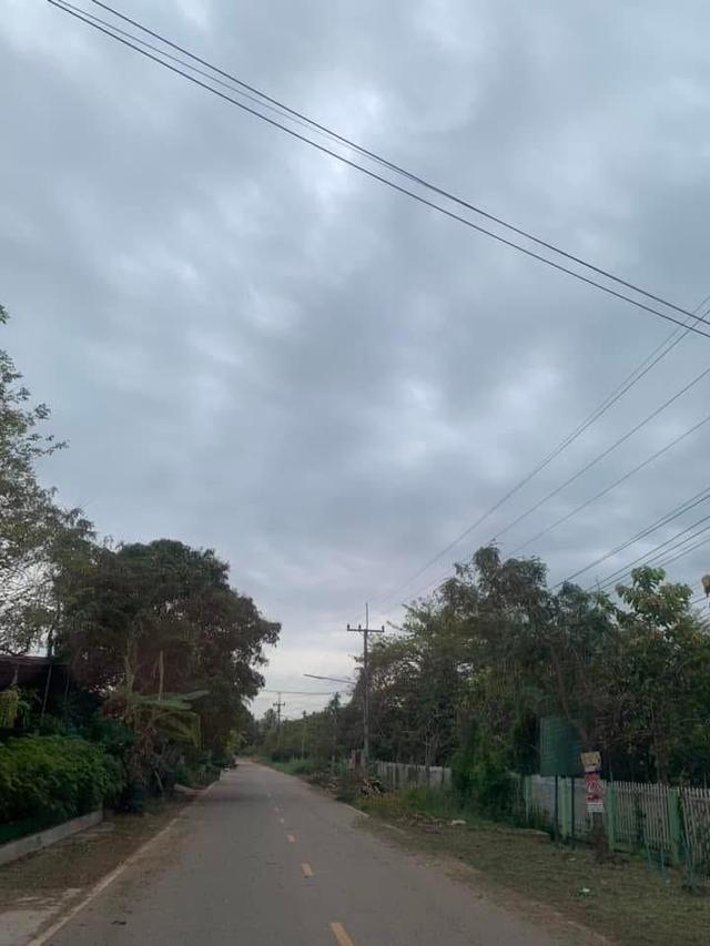 ขายที่ดิน จ.ชัยภูมิ 7