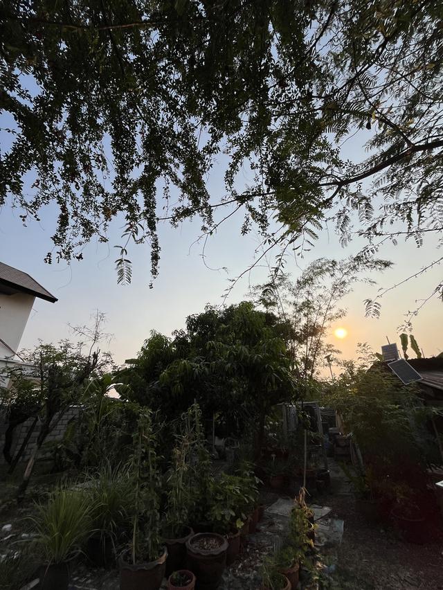 🔥 ที่ดินวิวพระอาทิตย์ตก ใจกลางอุดร 100 ตรว. ทำเลหายาก! ใกล้ UD TOWN 🌅 6