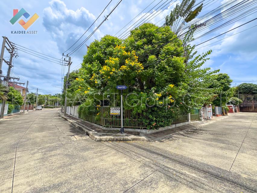หมู่บ้าน ชัยพฤกษ์ ราชพฤกษ์-345 | บ้านเดี่ยว บางคูวัด ขายถูก 3