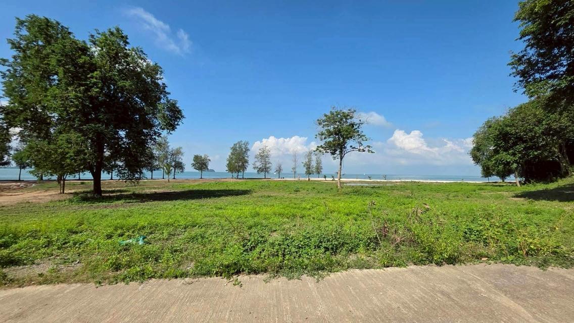🏝️ ขายที่ดินติดทะเล ดอนสัก สุราษฎร์ธานี โฉนด น.ส.4 จ. (Land Title: Chantel (Nor Sor 4 Jor) Full Ownership 4