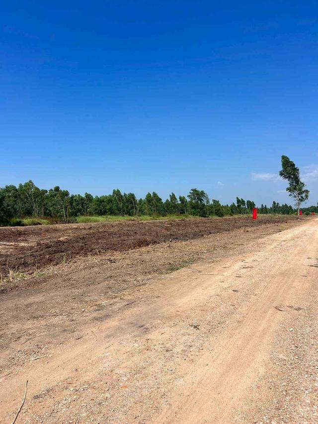 ขายที่ดินบึงกาสาม 1 ไร่ คลอง9 ติดถนนเลียบคลองแอน ใกล้ถนนเส้น5021-1กม. อ.หนองเสือ ปทุมธานี 4