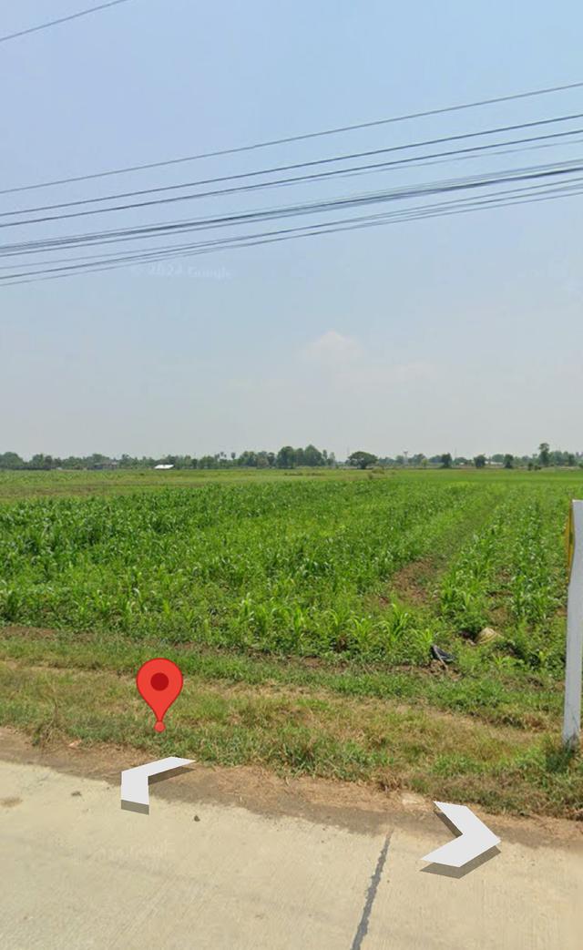 ที่ดิน 4