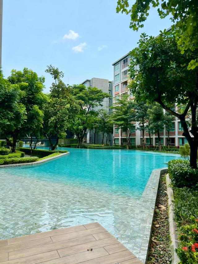 ขาย Dcondo Ping Chiangmai - 2 bedroom ห้องมุมดีที่สุด แพงสุดของโครงการ  ชั้น 7 ตึก A วิวสระยาว 15