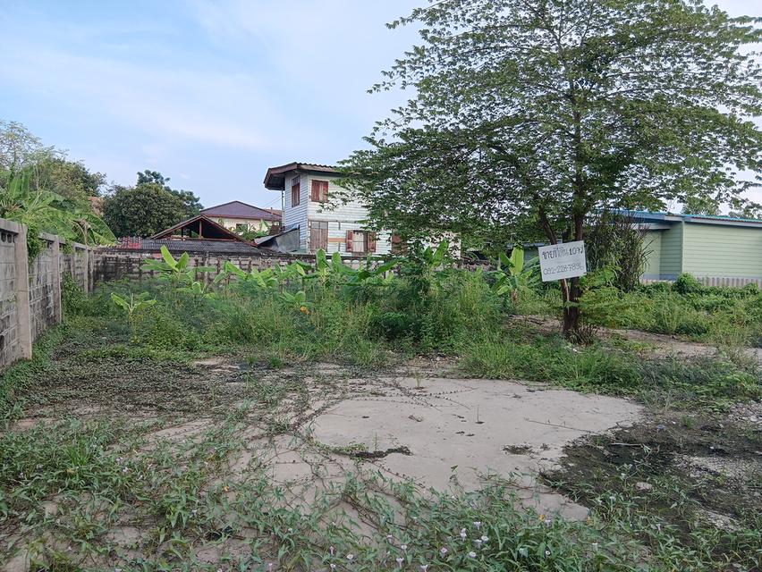 ขายที่ดิน ใกล้รถไฟฟ้าสายสีชมพู รามอินทรา65 แยก 2-2-6 4