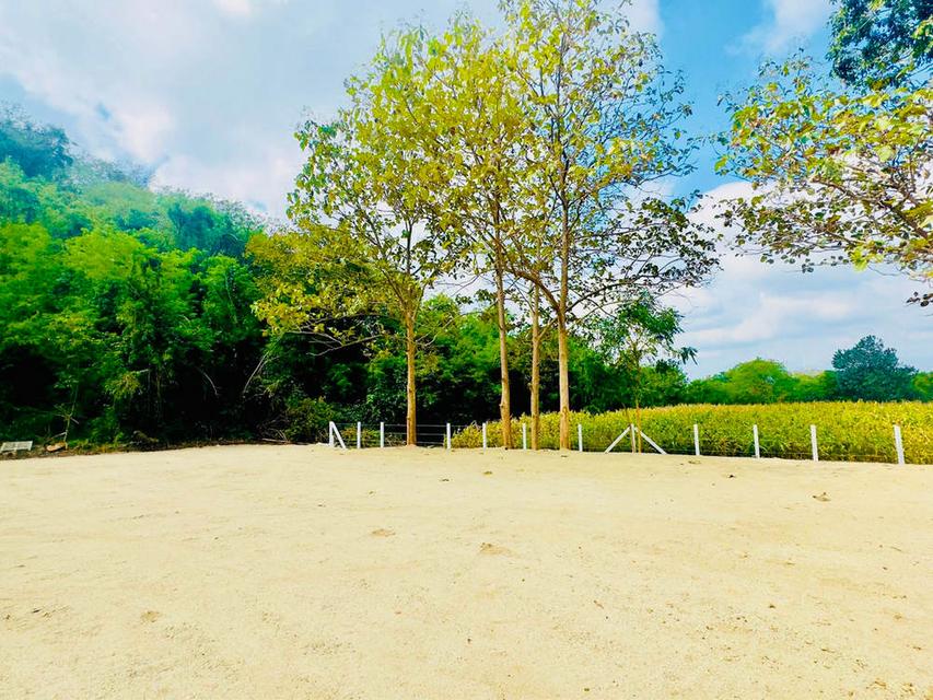 ขายที่ดินปากช่อง ใกล้เขาใหญ่ ที่ดินติดภูเขา วิวภูเขาชัดเจน ตำบลขนงพระ ปากช่อง นครราชสีมา 7