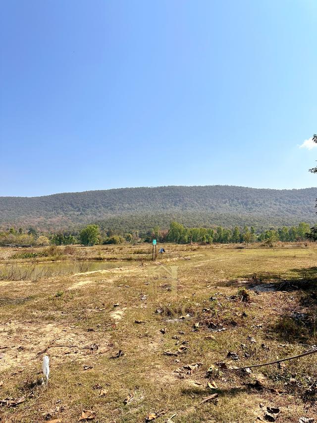 ขายที่ดินวิวภูเขา ตีนเขา โฉนดครุฑแดง ต.เวียงห้าว อ.พาน เชียงราย พื้นที่ 4-2-36.4 ไร่ 9