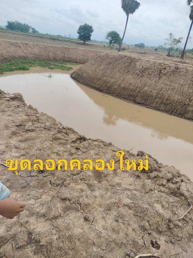 ที่ดินอำเภอสามเงาจังหวัดตาก 15