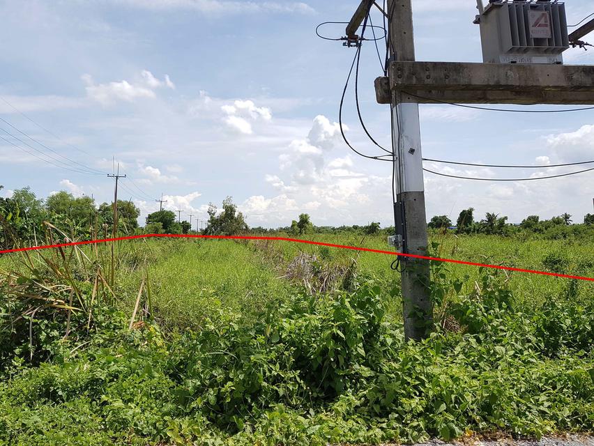 ที่ดิน 180 ตรว. แปลงหัวมุมถนน ตำบลนราภิรมย์ นครปฐม 5