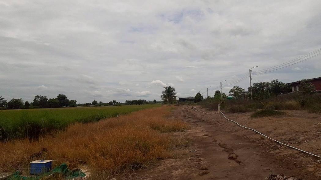 ขายที่ดิน 14 ไร่ 3 งาน 62 ตร.ว. ซอยวัดย่านวัดต้นเชือก ติดถนนหมายเลข 5027