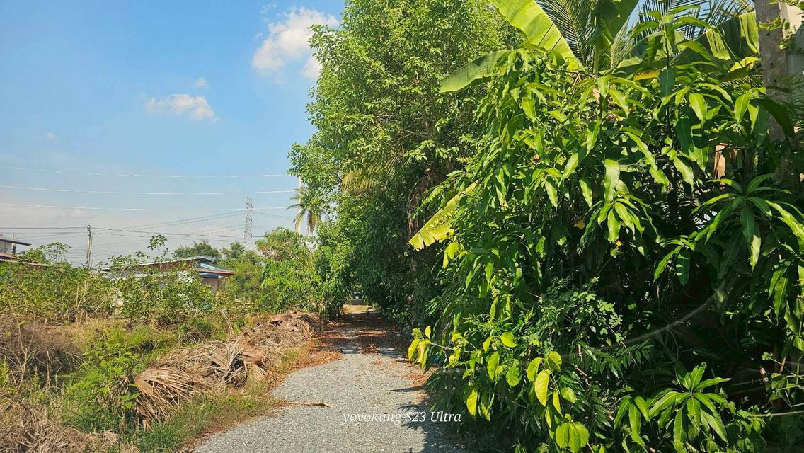 ขายที่ดิน 3-0-80 ไร่ พร้อมสิ่งปลูกสร้าง ติดถนนเลียบคลองขุนศรี ต.ไทรน้อย อ.ไทรน้อย จ.นนทบุรี 4