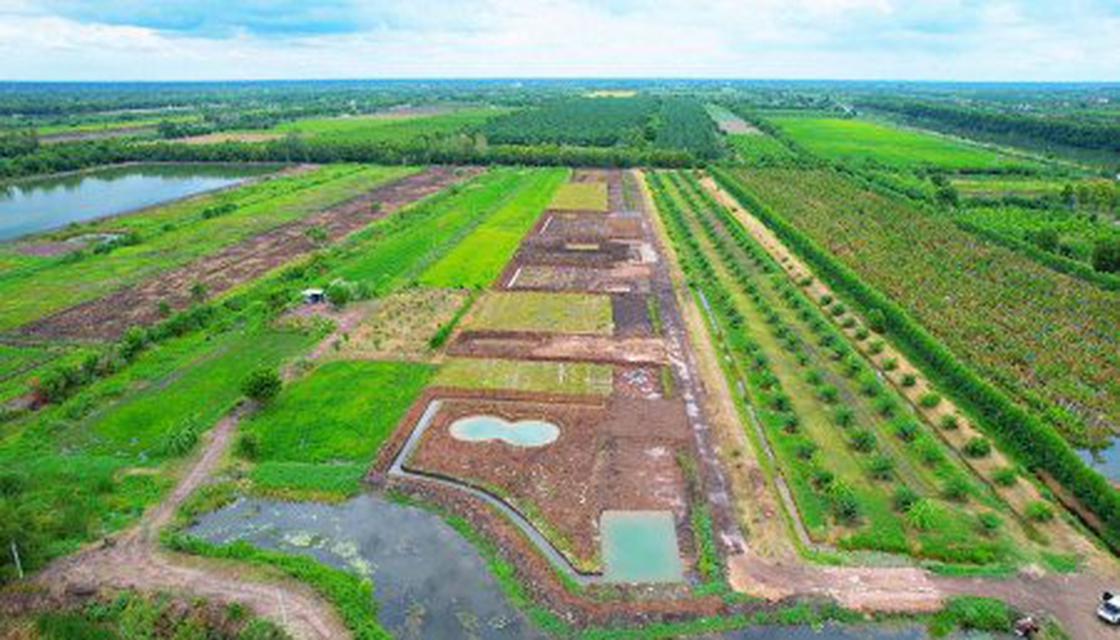 ขาย ที่ดิน ที่ดินพัฒนาแนวบ้านสวนเกษตร ที่ดินพัฒนา แนวบ้านสวนเกษตร 1 ไร่ 200 งาน ธรรมชาติสุดยอด 4
