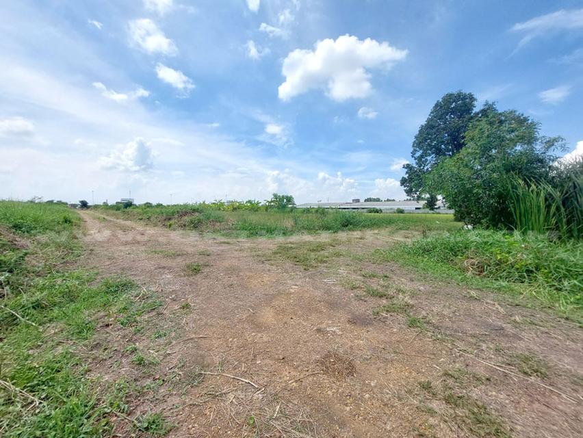 ที่ดินจัดสรรล็อคที่ 10 ถ.346 ต.หน้าไม้ อ.ลาดหลุมแก้ว จ.ปทุมธานี 4