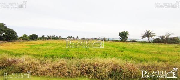 ซื้อทำกำไรได้มากกว่า 100 % ++ กับที่ทรงสวย 14 ไร่เศษ หน้ากว้าง 97 ม. ใกล้ ถ. ตัดใหม่ กัลปพฤกษ์ – พุทธสาคร KK5104S 4