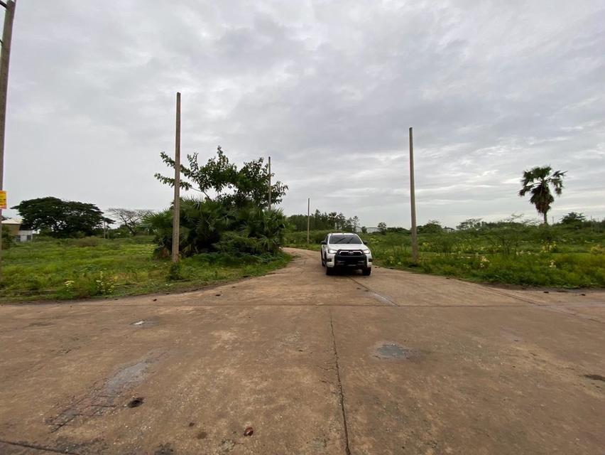 ขายต่ำกว่าประเมินที่ดิน 266 ตรว ติดถนนคอนกรีต ต.บ้านงิ้ว อ.สามโคก จ.ปทุมธานี 8