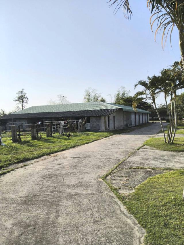 ขายรีสอร์ท ขนาดกลาง จังหวัดมหาสารคาม ห่างจากตัวเมืองประมาณ 5กม. 9