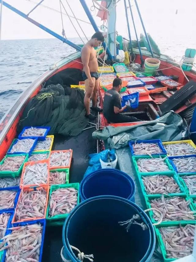 รีบขายเรือประมงใช้งานปกติ  3