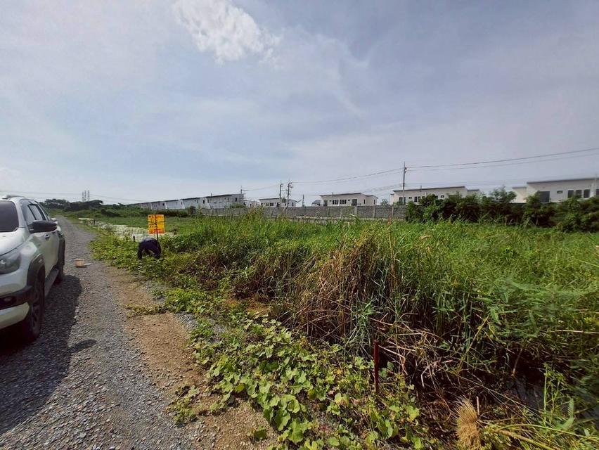 ขายด่วนที่ดินซอยวัดคลองตาคล้าย 128 ตรว ติดถนนสาธารณะ อ.ไทรน้อย จ.นนทบุรี 3