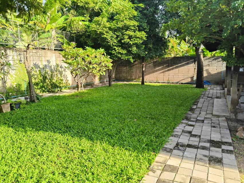 ขายที่ดินช้างม่อย(เชียงใหม่) พร้อมอาคาร  206 ตรว 22 ล้าน  1