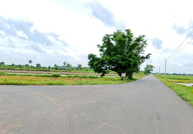 ขายที่ดิน บึงเทพยา ตำบลบางน้ำเปรี้ยว อำเภอบางน้ำเปรี้ยว ฉะเชิงเทรา 6