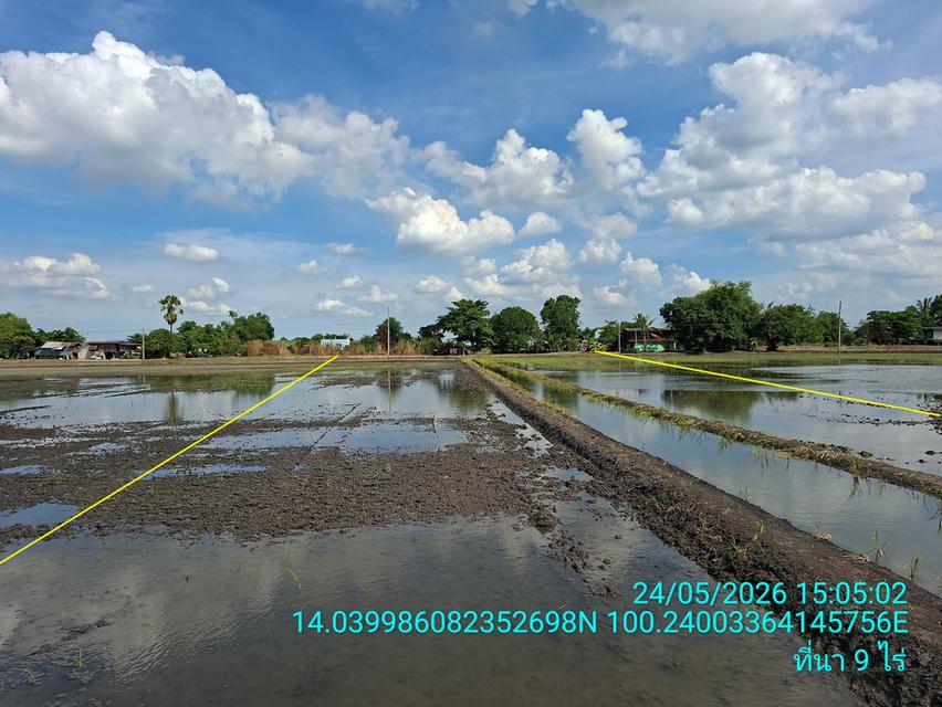 ที่นา 9 ไร่เศษ อ.บางเลน จ.นครปฐม ติดคลองบางภาษี มีน้ำทำนาได้ตลอดปี 10