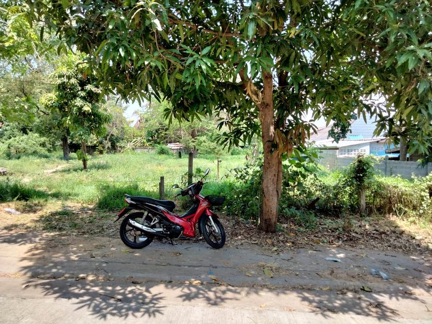 ที่ดิน ในซอยตรงข้ามโรงงานไทยน้ำทิพย์ ท่าพระ ขอนแก่น 7