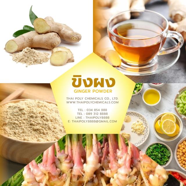 ขิงผง, Ginger Powder, ขิงผงไทยแลนด์, Thailand ginger, ผงขิง, Powdered Ginger 1