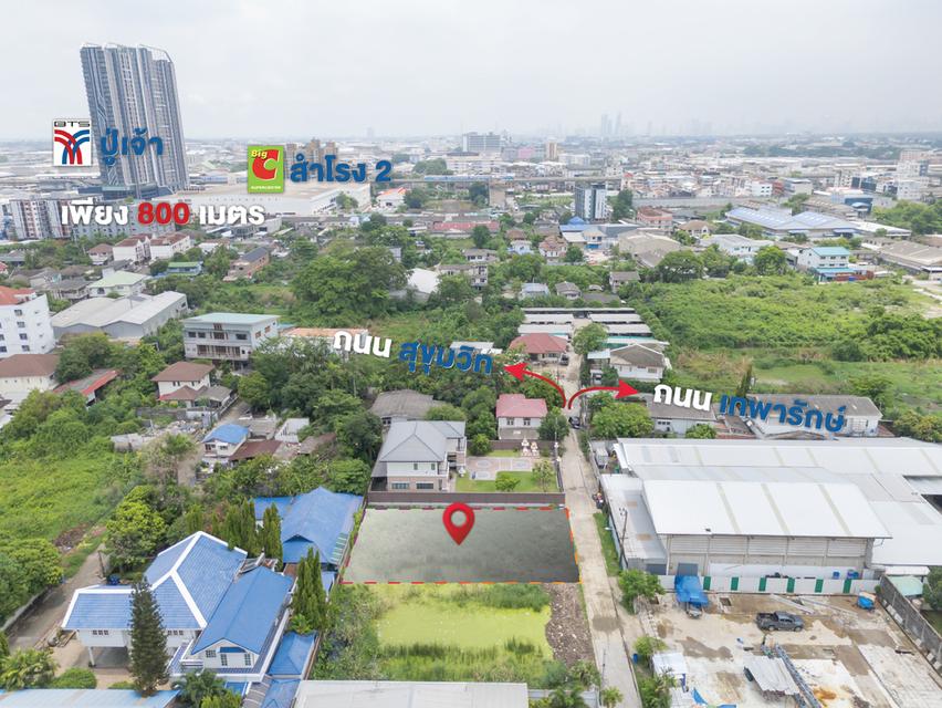 ที่ดิน ซอย สุขุมวิท 115 BTS ปู่เจ้า เทพารักษ์ สมุทรปราการ 8